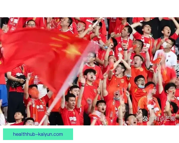 赛场票务信息引发球迷热议，购票流程及注意事项备受关注